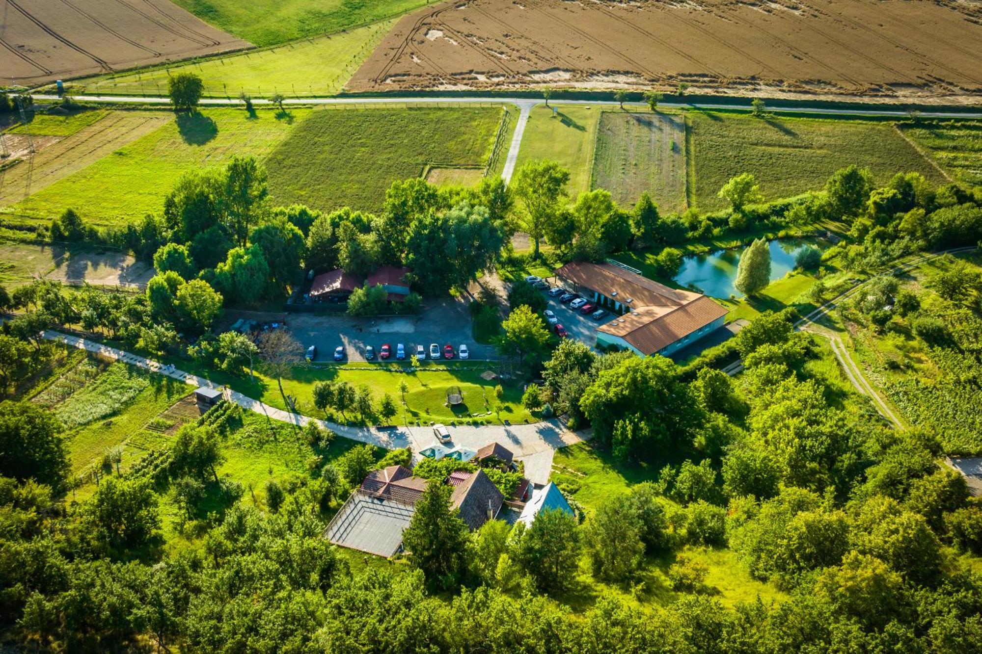 Vinny Sklep Krysa Kostelec (Hodonin) Exterior foto